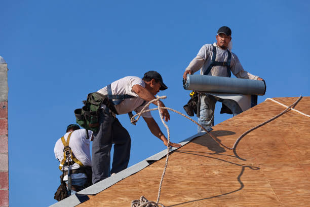 Best Roof Gutter Cleaning  in Addis, LA